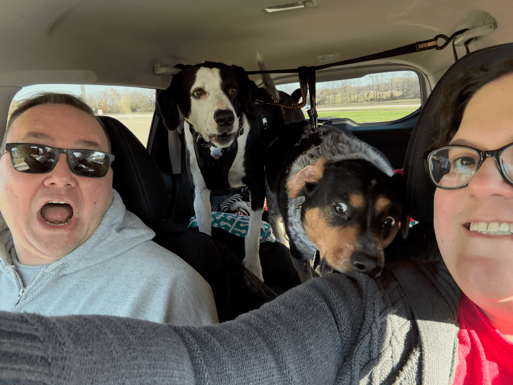 Josh and Jahnna in the car at a rest area of I-65. Otis and Eddie are visible in the picture, and they (and Josh) are barking at another dog in the rest area.