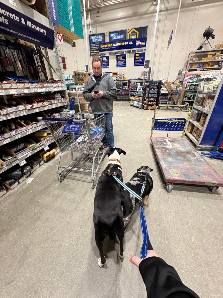 Josh browses at the blue hardware store, and hound dogs Otis and Eddie are on a joint leash also browsing.