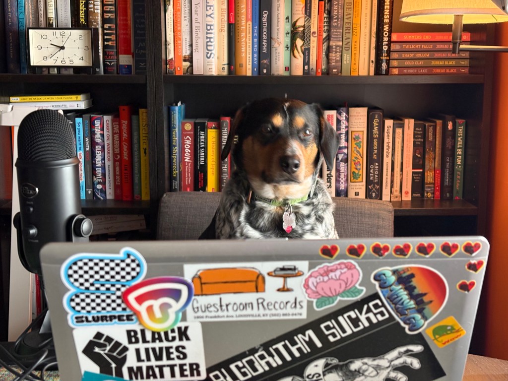 Eddie sits behind Josh's laptop next to the microphone. He is ready to record the newest episode of Barklife.